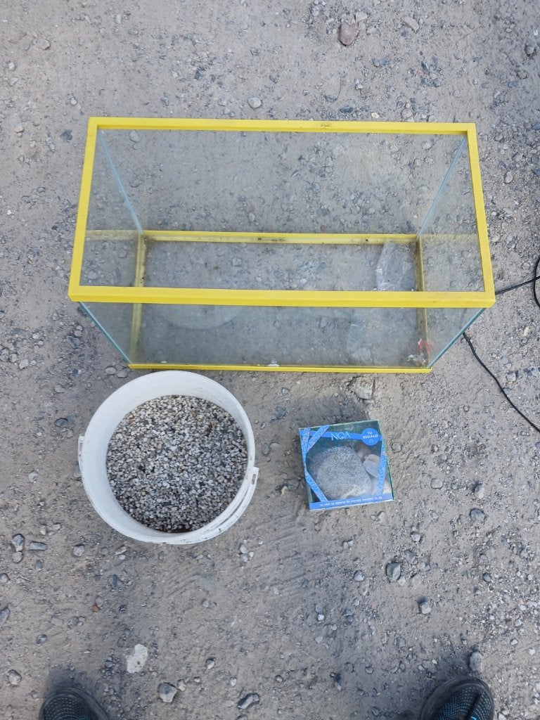 Aquarium, Dieren en Toebehoren, Ophalen of Verzenden