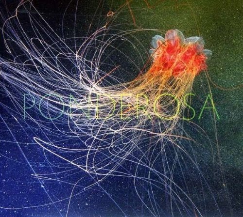 SALE--CD PONDEROSA - Pool Party, Verzenden