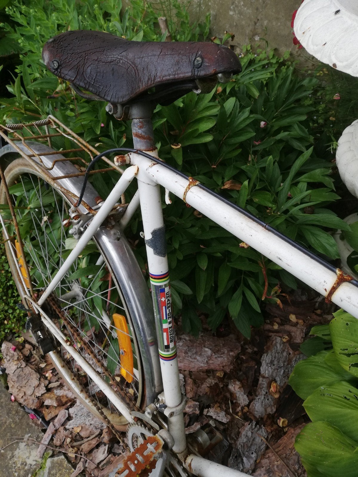 Oude koersfiets, Ophalen