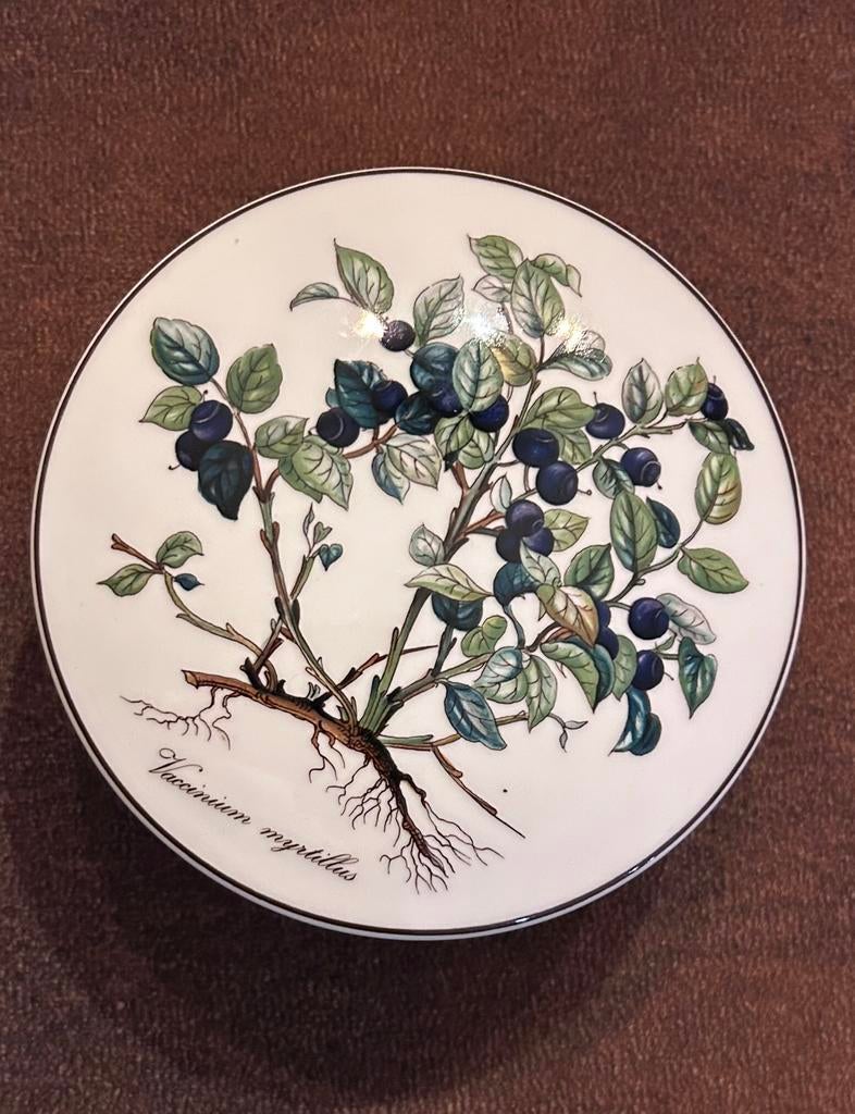 Villeroy & Boch Botanica porseleinen potje met deksel, Huis en Inrichting, Ophalen, Zo goed als nieuw