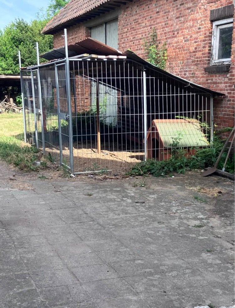 Nu af te halen voor €120 ! Hondenren, Tuin en Terras, Ophalen, Zo goed als nieuw