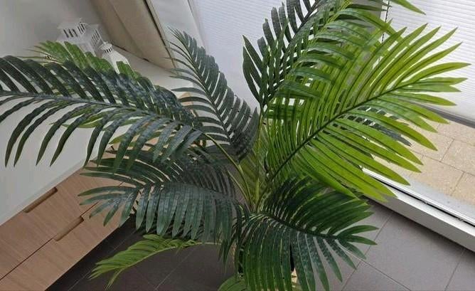 Kunstplant, Enlèvement