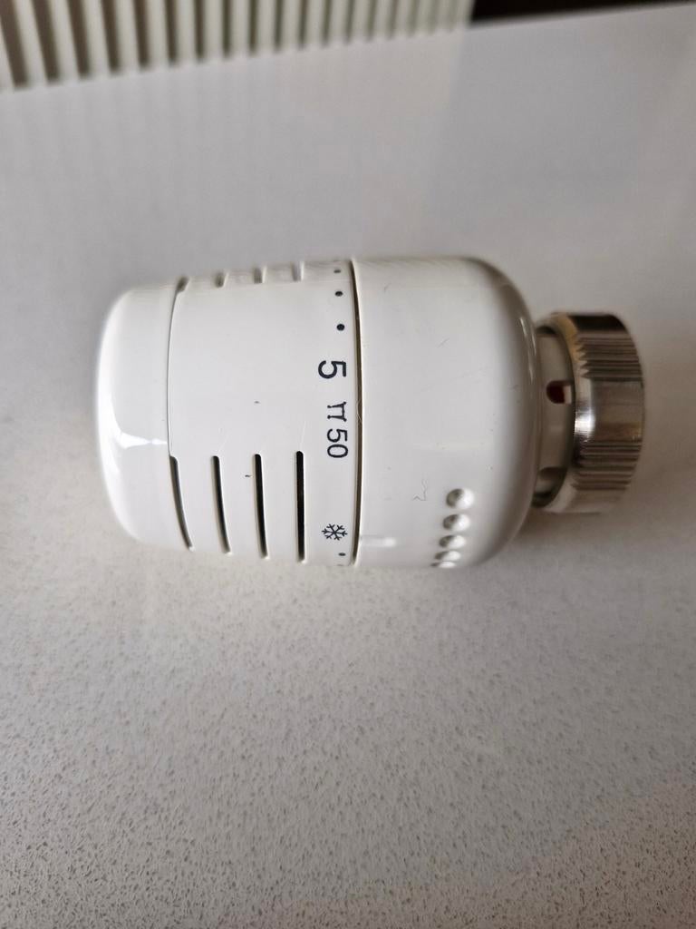 Thermostaatkop Begetube, Ophalen of Verzenden