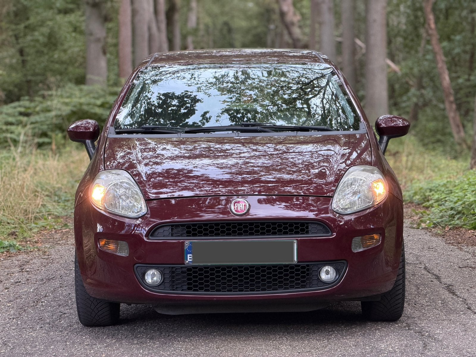 Fiat punto 1.2 essence Climatisation homologuée 99.800 km, Euro 5, Achat, Entreprise, Boîte manuelle