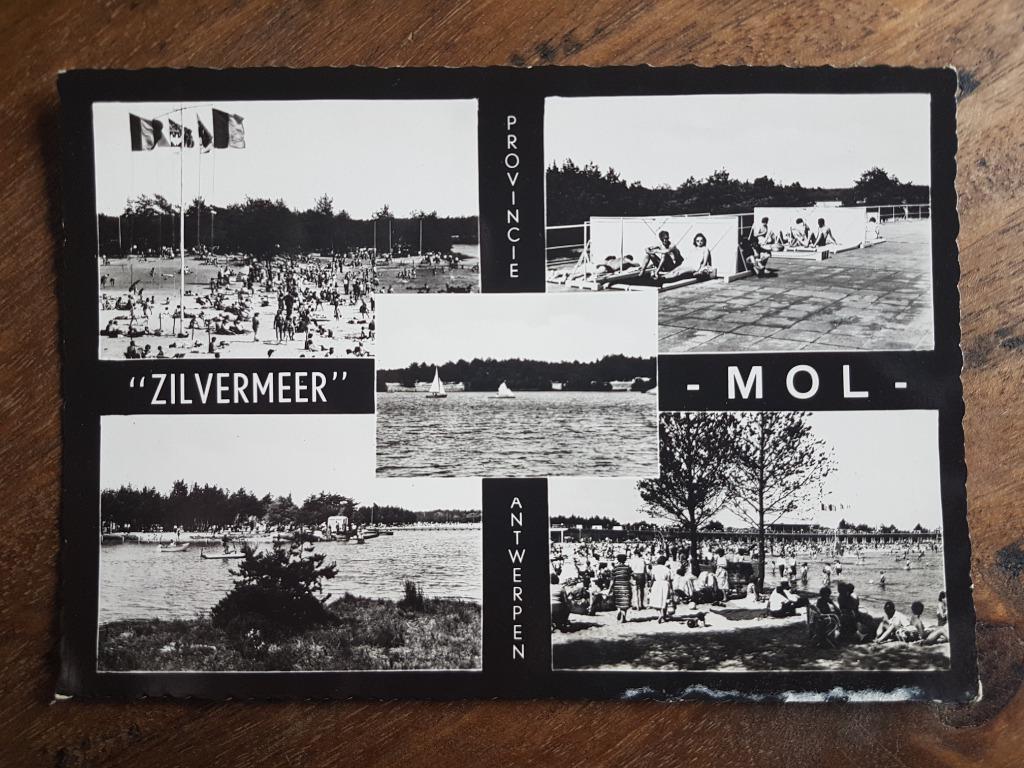 Postkaart Mol Zilvermeer Provincie Antwerpen, Ophalen of Verzenden, 1940 tot 1960, Ongelopen, Antwerpen