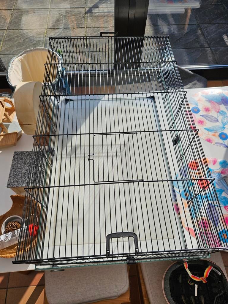 Grote ruime hamsterkooi met glas, Dieren en Toebehoren, Ophalen