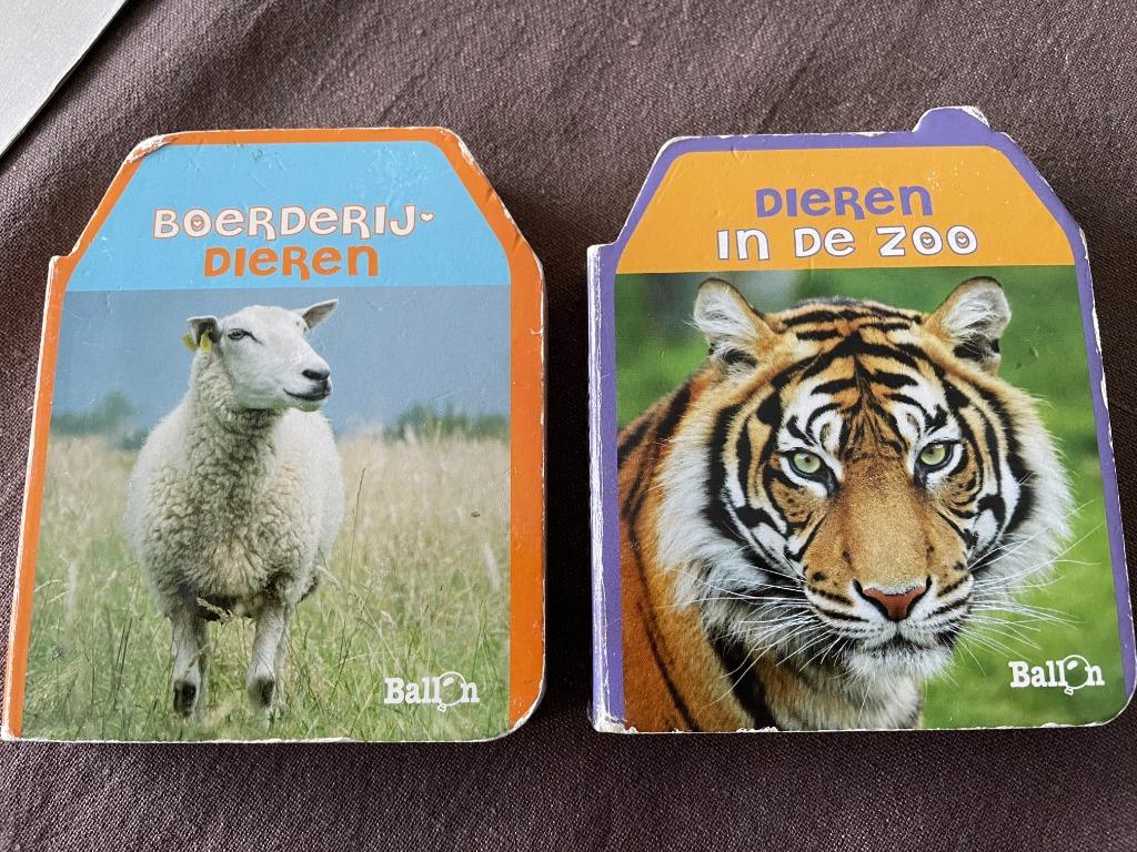 Kartonnen peuterboekjes, Boeken, Ophalen of Verzenden, Gelezen, 1 tot 2 jaar