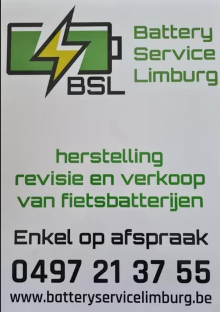 Batterij revisie Accu revisie, Fietsen en Brommers, Fietsaccessoires | Fietsaccu's, Ophalen of Verzenden, Nieuw