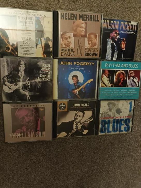 Blues cd's - 20cd's, Ophalen of Verzenden, Gebruikt, Blues