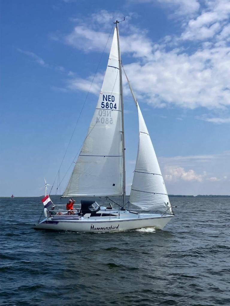 Zeiljacht halftonner Van der Stadt HB31, Enlèvement, Utilisé, Polyester, Diesel