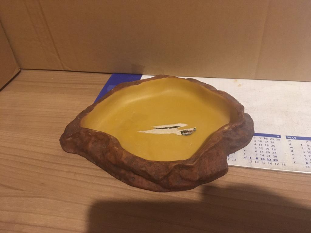 Nieuwe waterbak voor terrarium, Dieren en Toebehoren, Ophalen of Verzenden