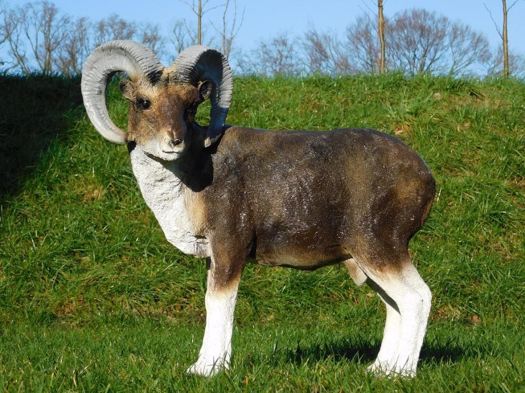 tuinbeeld ram, Enlèvement ou Envoi, Neuf