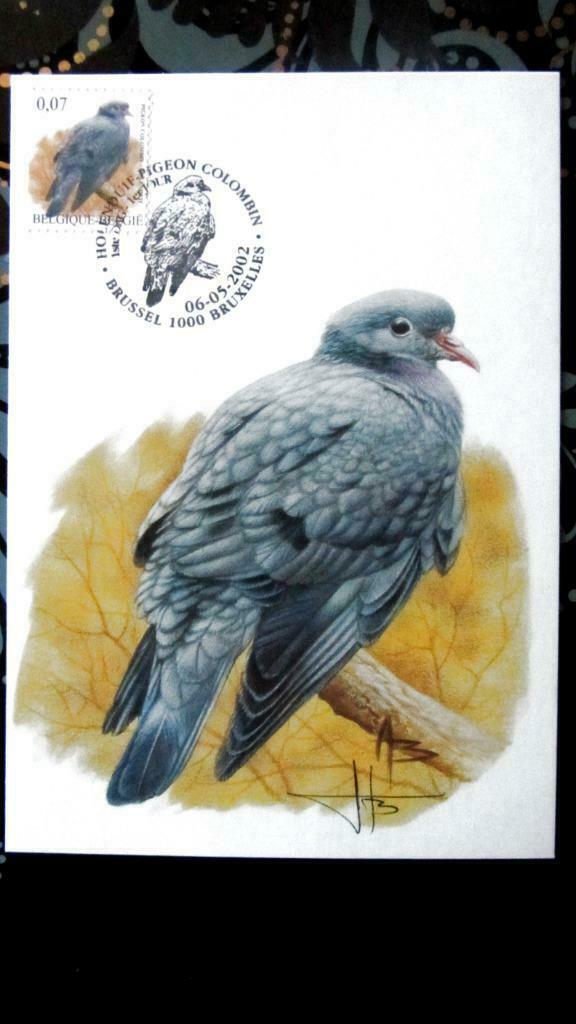 FIRST DAY OP KAART- VOGELS VAN BUZIN- DE HOLENDUIF, Ophalen of Verzenden, Gestempeld, Dier of Natuur