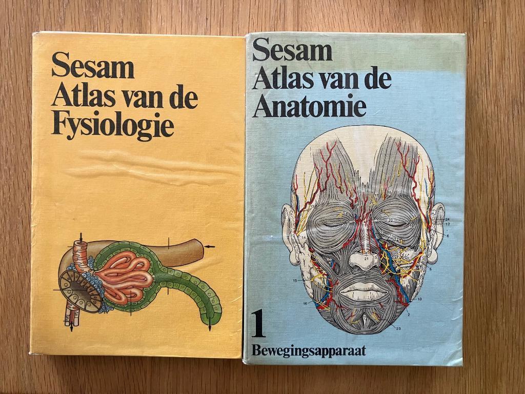 Sesam atlas van de anatomie en de fysiologie, Boeken, Ophalen of Verzenden, Gelezen, Hoger Onderwijs