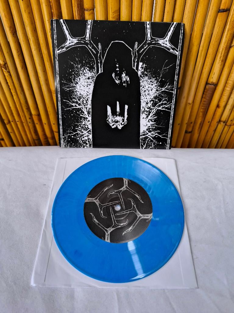 45t 7'' Rot In Hell termini terrae vinyl 100ex, Dark Empire, Enlèvement ou Envoi, Utilisé, Rock et Metal