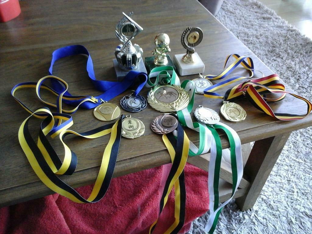 SPORT TROFEEËN EN MEDAILLES (10 stuks) (gewijzigd 23.09.2023, Ophalen of Verzenden, Gebruikt, Overige typen