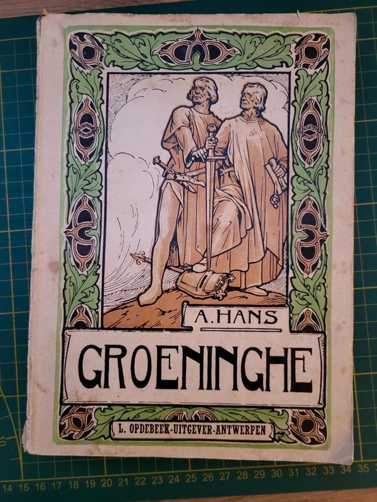 A. Hans - Groeninghe (De slag der Gulden Sporen), Boeken, Ophalen of Verzenden, Gelezen