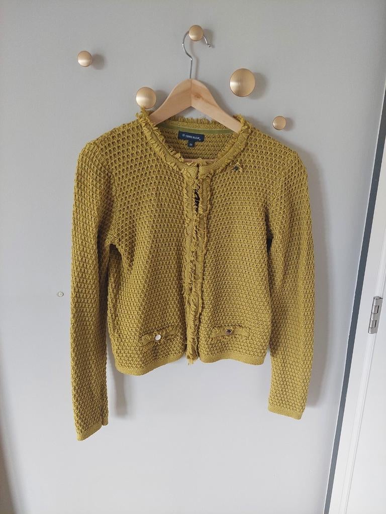 Vest / cardigan Terre Bleue - maat 38, Maat 38/40 (M), Terre Bleue, Ophalen of Verzenden, Zo goed als nieuw