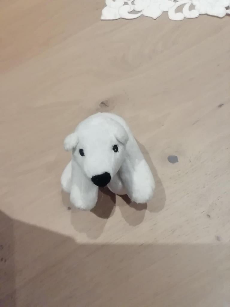 Ours blanc, Comme neuf, Ours