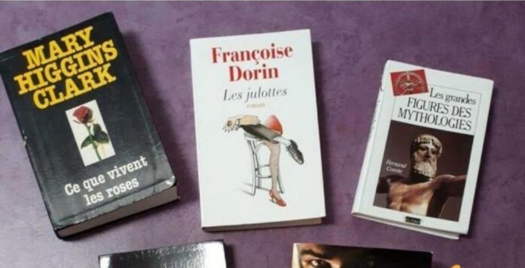 Livres grand format, Enlèvement ou Envoi, Comme neuf