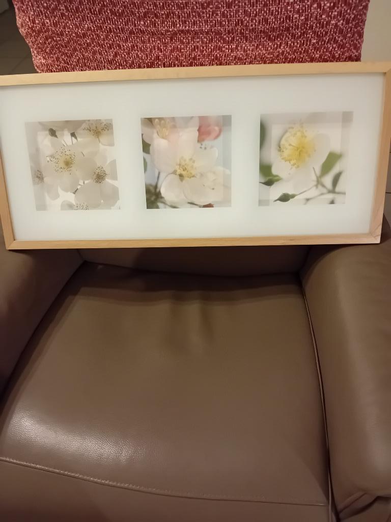 Kader in hout met glas en bloemen versiering, Ophalen of Verzenden, Gebruikt, Hout