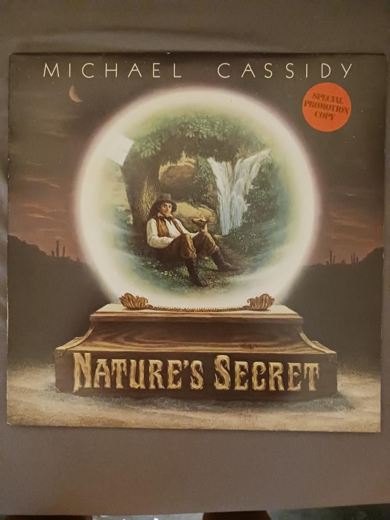 vinylplaat 33 toeren Michael Cassidy, Cd's en Dvd's, Vinyl | Overige Vinyl, Ophalen of Verzenden, Gebruikt