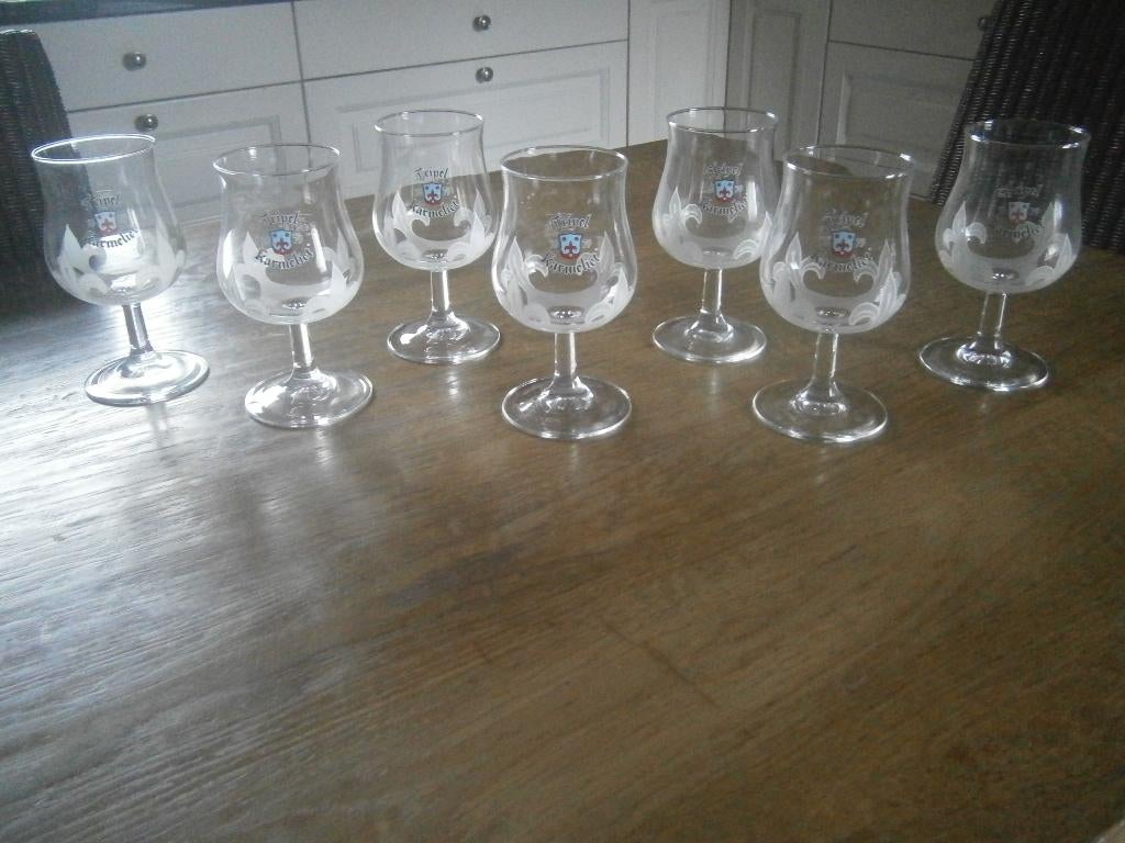 7 Tripel Karmeliet glazen  20 cl, Enlèvement ou Envoi, Neuf, Verre ou Verres