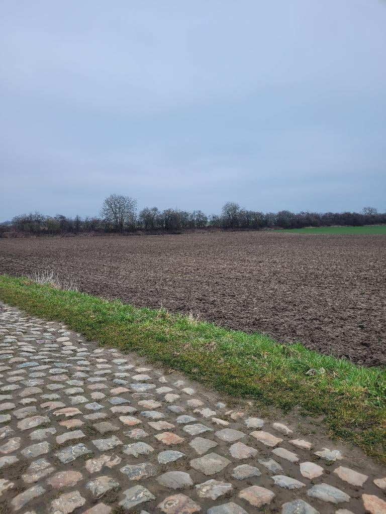 Gratis landbouwgrond van 1 hectare GEMBLOUX, Immo, Gronden en Bouwgronden