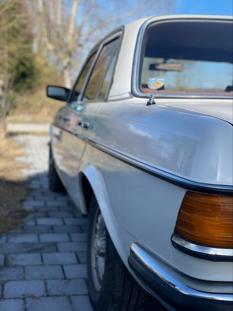 Mercedes 280 W123 Oldtimer, foto 8