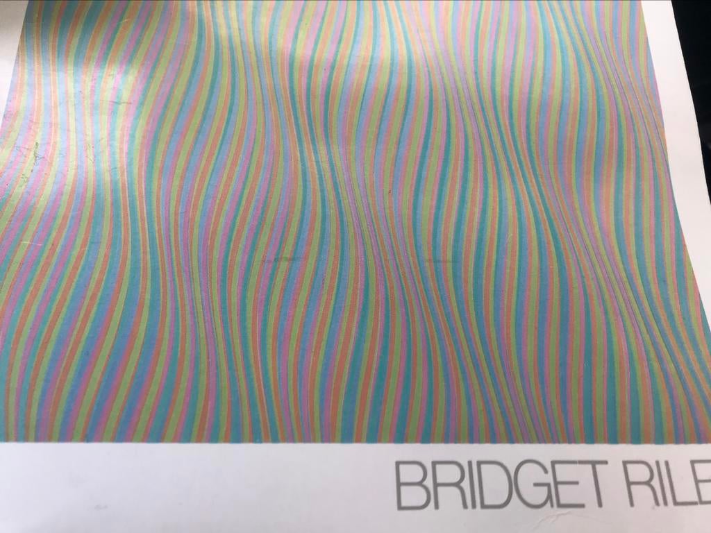 Bridget Riley Paintings seventies 80pag Opart, Ophalen of Verzenden, Zo goed als nieuw, Schilder- en Tekenkunst