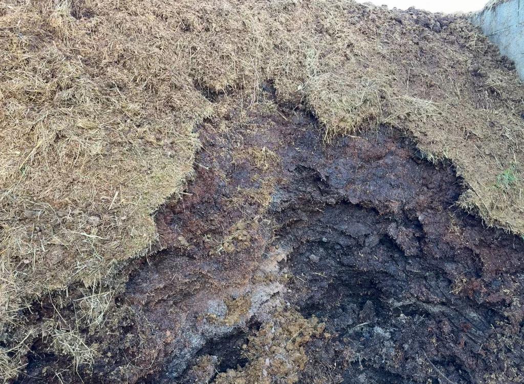 Gratis compost, Enlèvement, Compost
