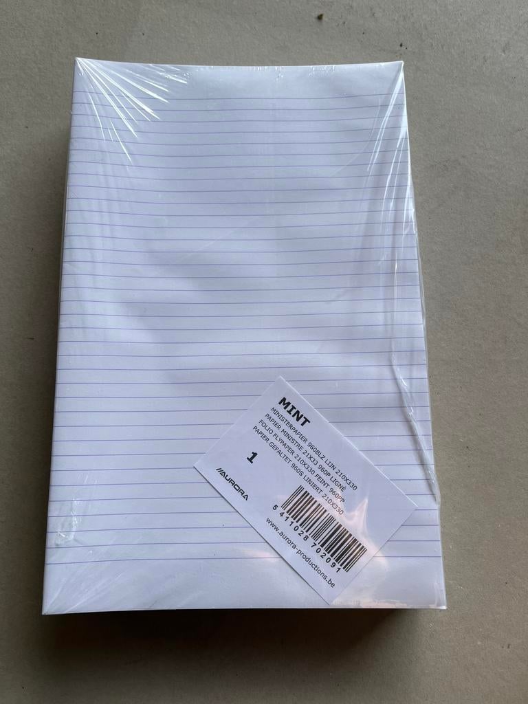 Minister lijn/ geruit papier! Accountantspapier, Diversen, Papierwaren, Ophalen, Nieuw