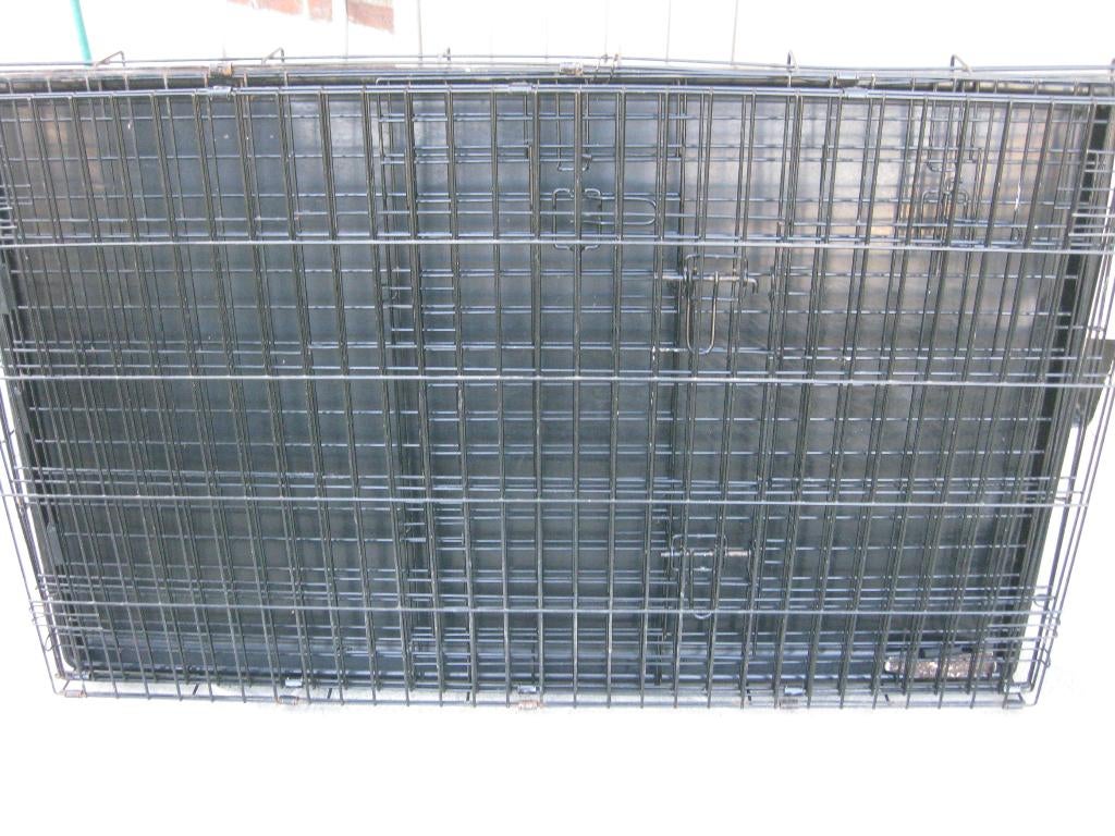 hondenkennel, België, Particulier, Eén hond, Spaniël