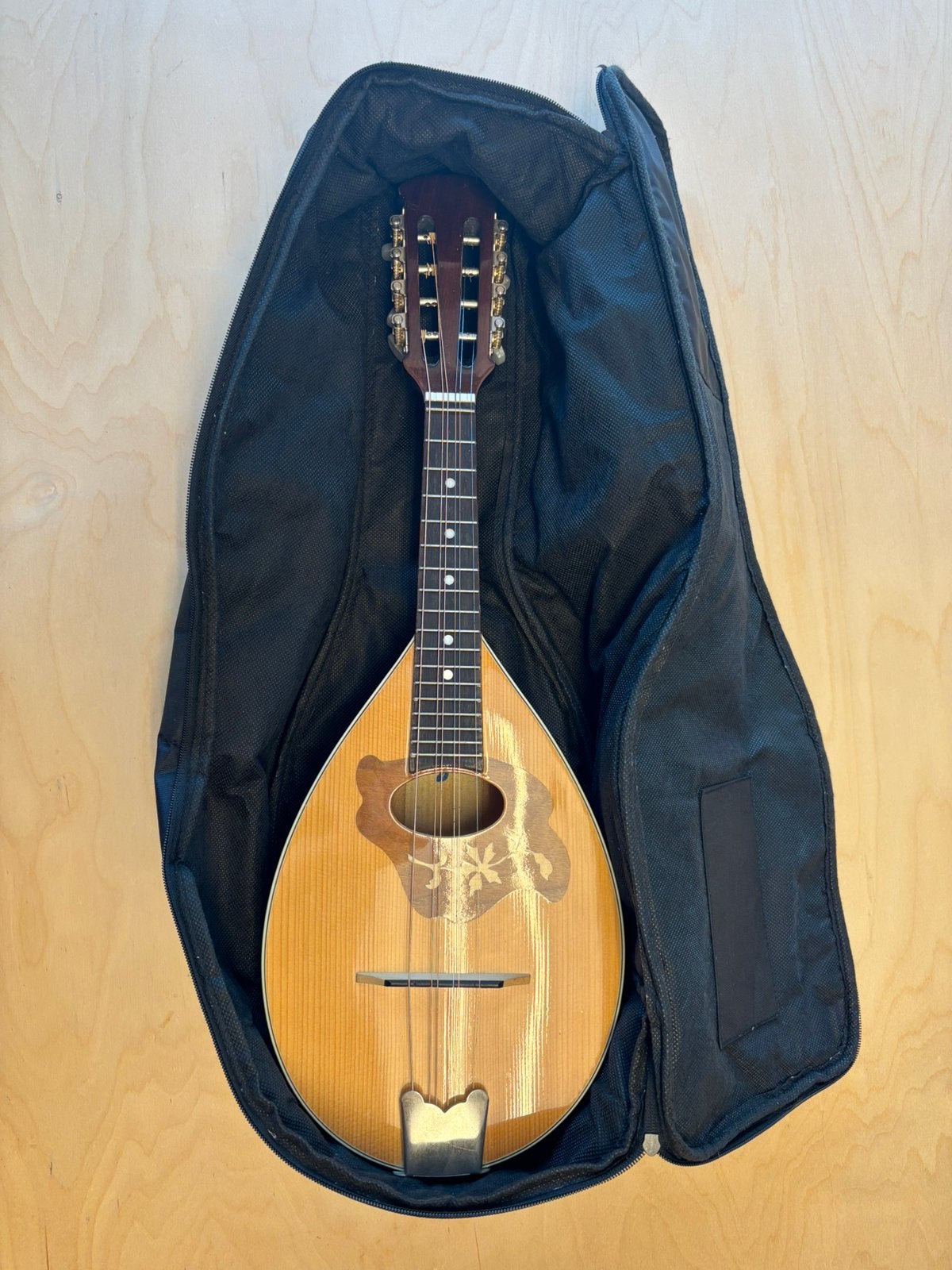 Mandoline 8-snarig + GEWA draagtas – nieuwe snaren nodig, Musique & Instruments, Enlèvement, Utilisé
