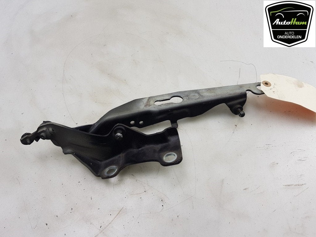 CHARNIERE DE CAPOT Volvo V70 (BW) (|31250186|31385811|), Utilisé, Volvo