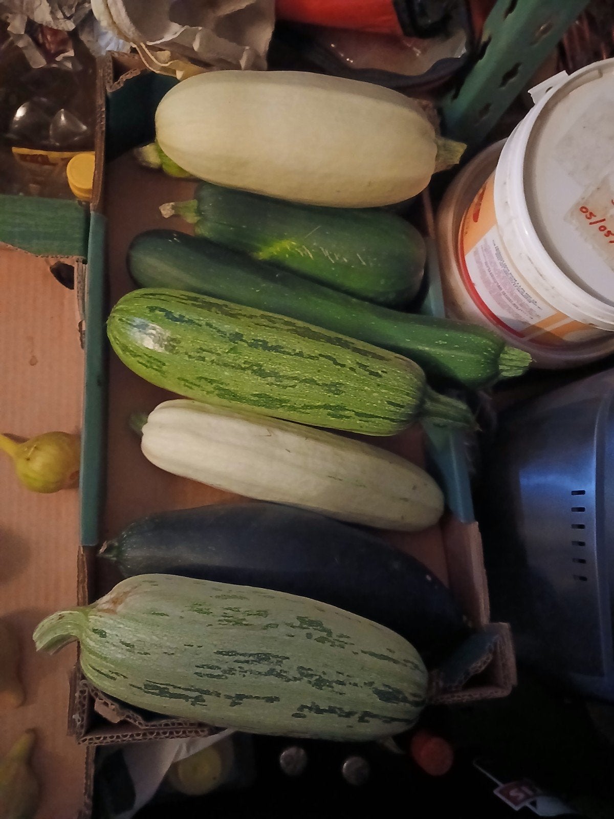 Courgettes, Enlèvement