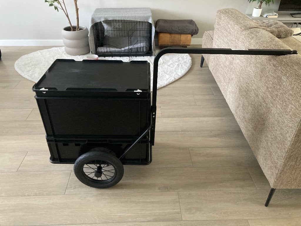 Roland Mini Boy fietskar / bagagekar – 2 bakken + deksel, Ophalen of Verzenden, Zo goed als nieuw, 40 tot 60 kg, Roland