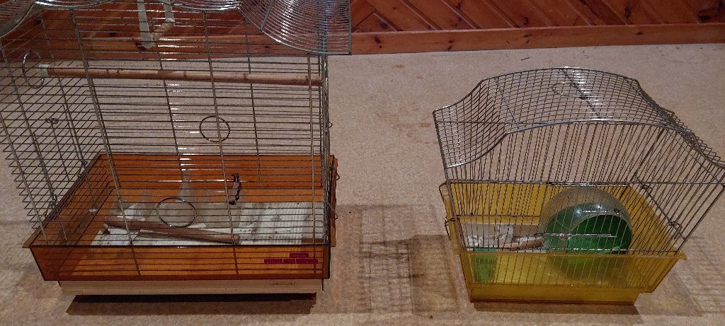 Cages pour oiseaux, Enlèvement, Utilisé, Cage à oiseaux