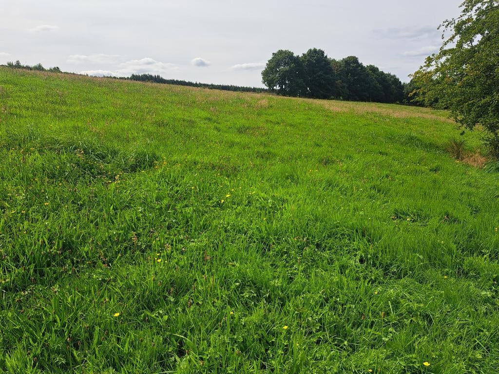 agrarische grond van 3,6 ha te koop in Neufchateau longier, Immo, Gronden en Bouwgronden