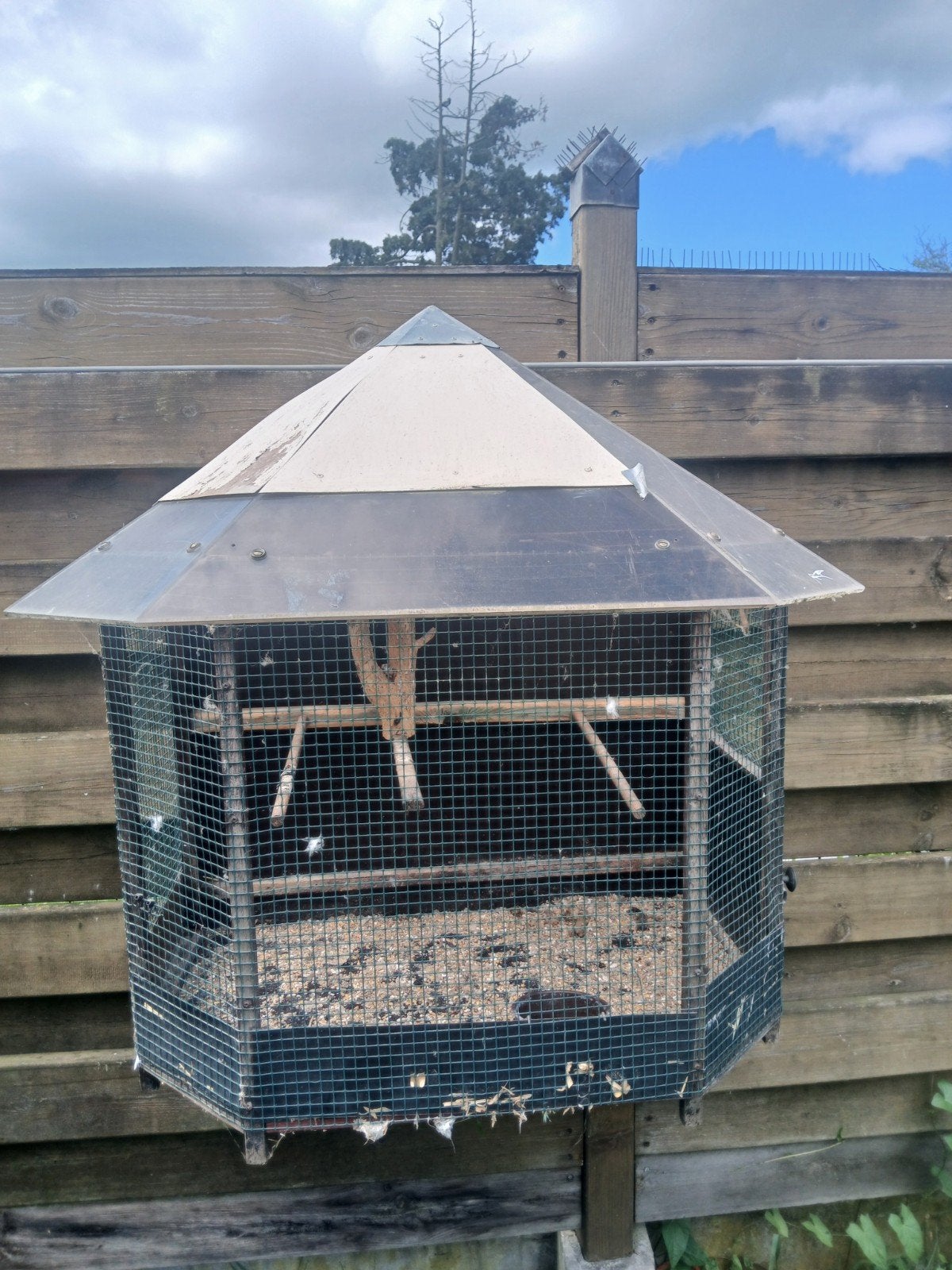 Vogelkooi, Dieren en Toebehoren, Ophalen, Vogelkooi
