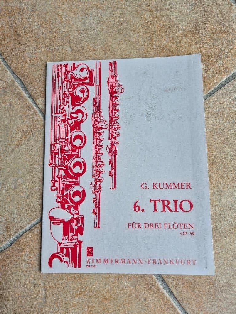 Bladmuziek 3 of meer fluiten/altblokfluiten 10 x, Muziek en Instrumenten, Klassiek, Overige soorten, Ophalen of Verzenden, Zo goed als nieuw