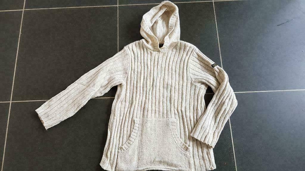 wollen trui / hoodie met kap van Pepe Jeans maat S - medium, Kleding | Dames, Ophalen of Verzenden, Maat 36 (S), Grijs, Gedragen
