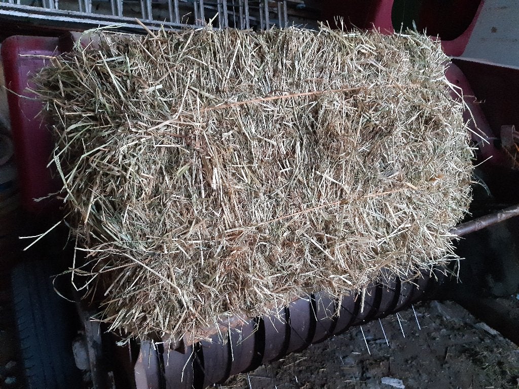 Hooi, Dieren en Toebehoren, Ophalen