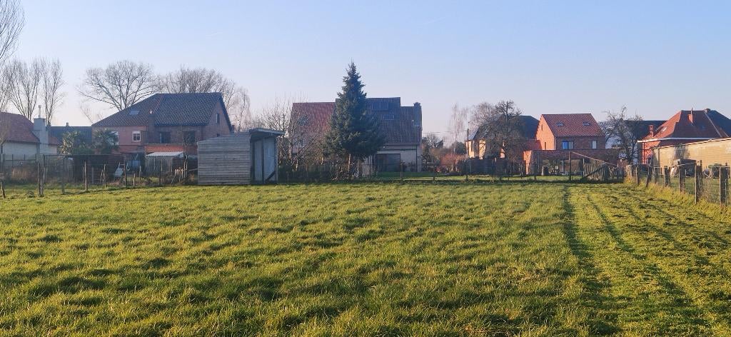 Prairie de loisirs rurale avec abri à louer, Juin, Mâle