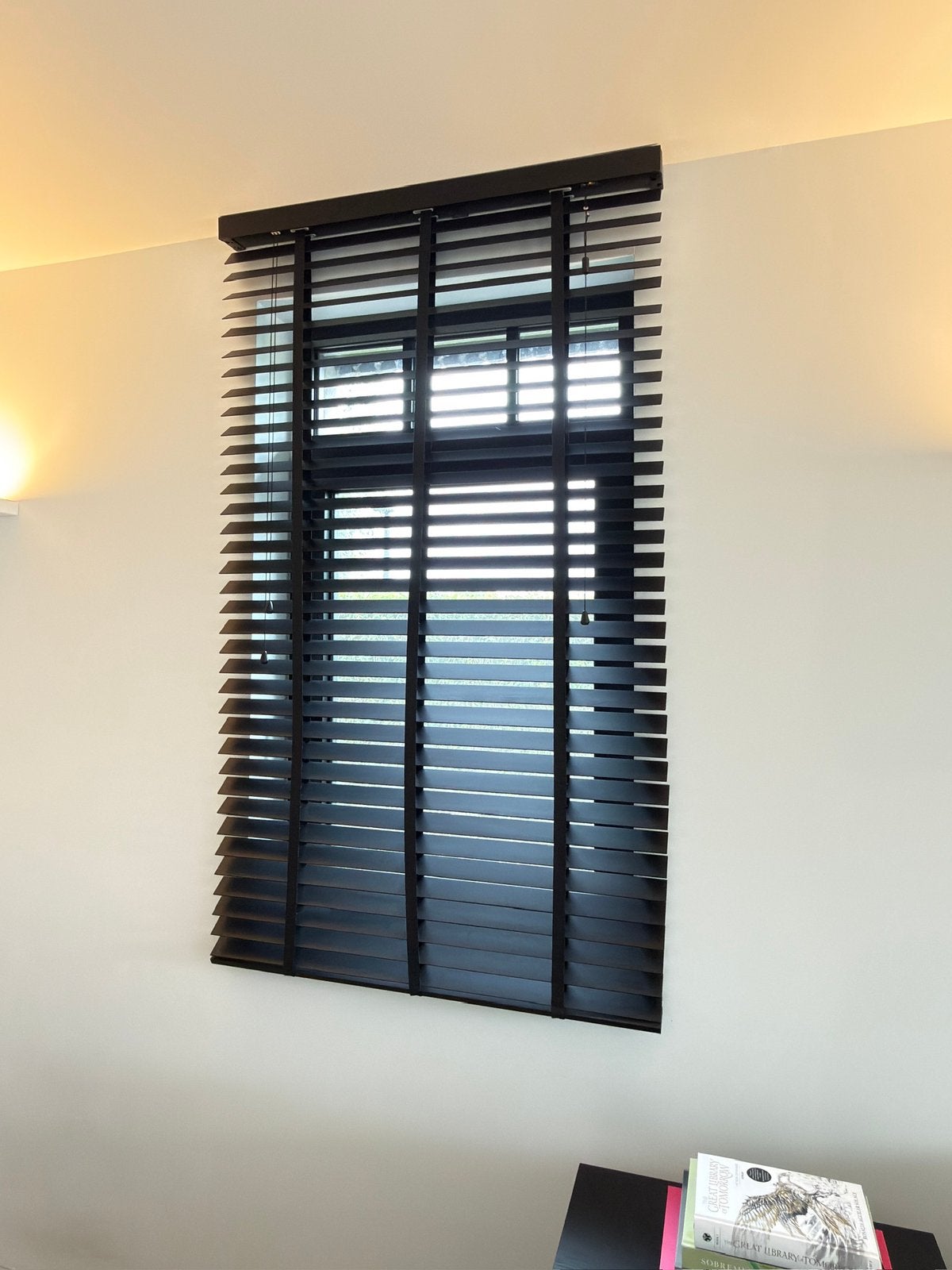Houten lamellen 2stuks 173x100, Ophalen, Zo goed als nieuw, Lamellen