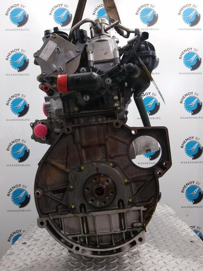 FORD FOCUS MOTOR M1DA 2014, Enlèvement ou Envoi, Utilisé, ARN reconnu