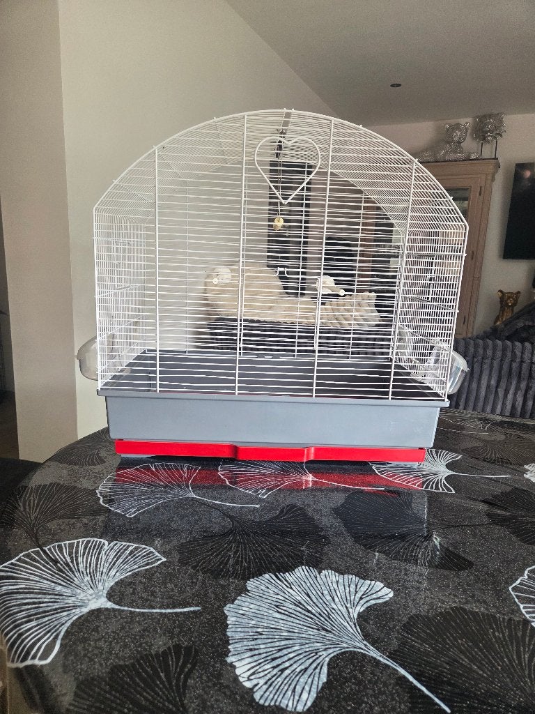 Grande cage à oiseau avec accessoires, Enlèvement, Comme neuf