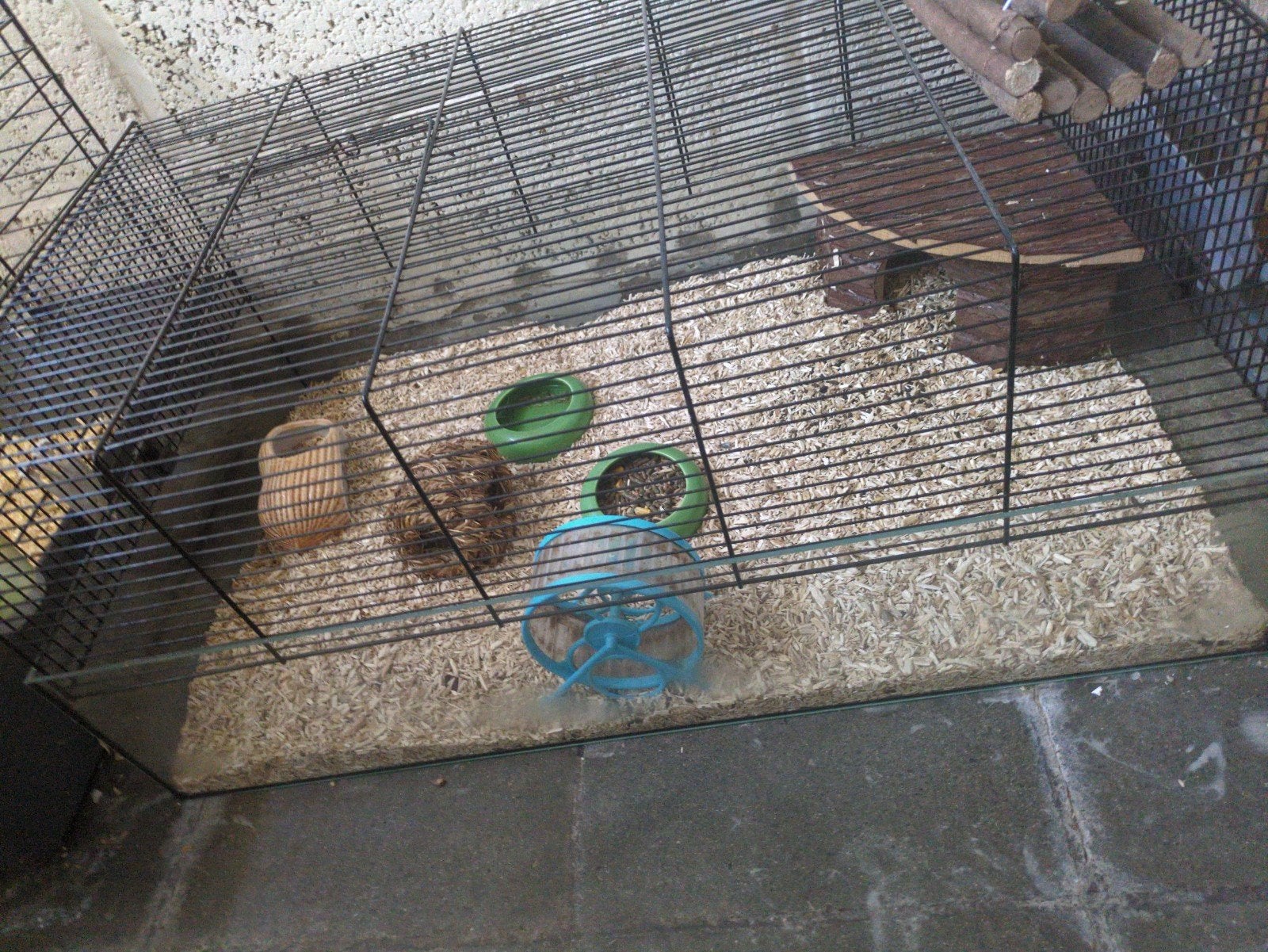 2 broertjes hamsters met kooi 40 euro, Animaux & Accessoires, Rongeurs, Avril