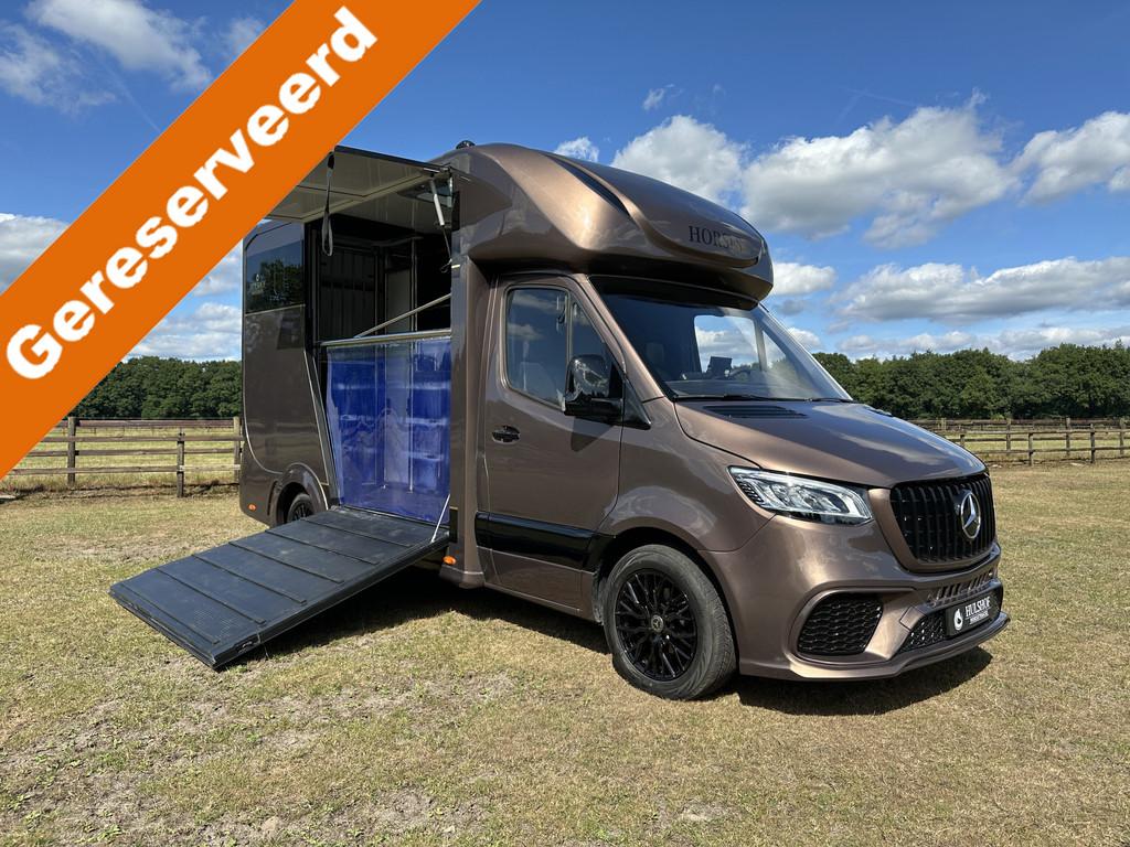 Mercedes-Benz Sprinter 319 AMG 2-paards paardenvrachtwagen B, Dieren en Toebehoren, Gebruikt, Info@hulshof-trading.nl, Overige typen