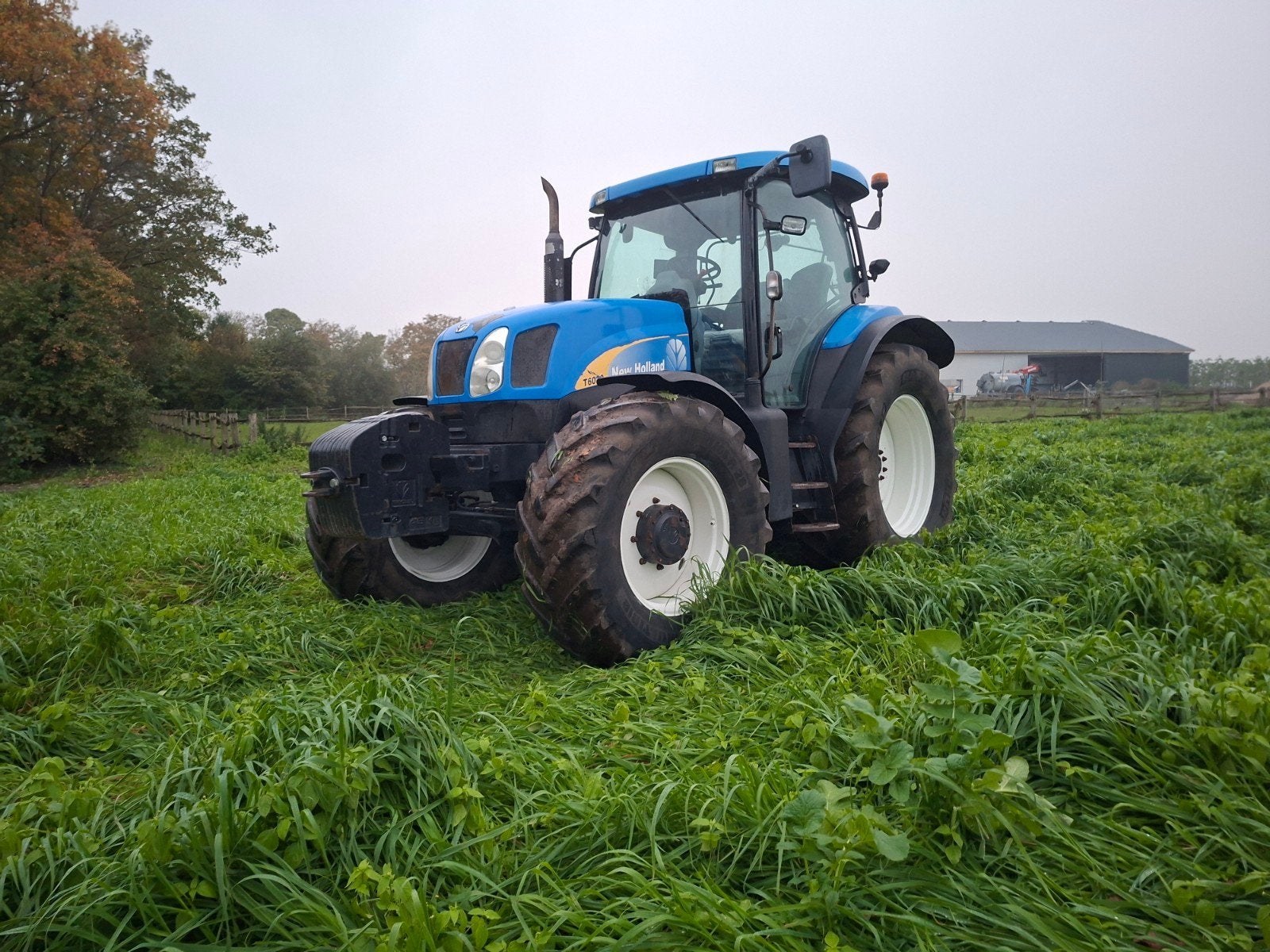 NEW HOLLAND T6030, Ophalen, Gebruikt, 120 tot 160 Pk, New Holland